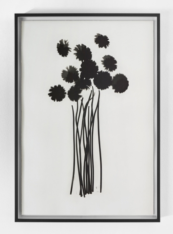 Cornelia Parker, Cut Flowers, 2020 , Wilde