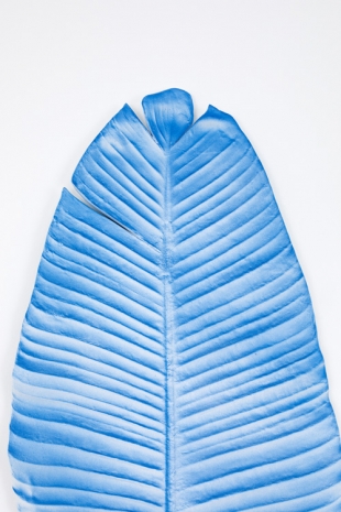 Daniel Arsham, Gradient Banana Leaf, 2021 , Friedman Benda