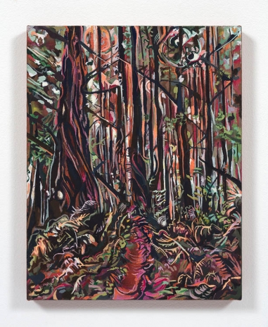 Maria Calandra, Tall Tree Grove (Redwood National Park), 2021 , Steve Turner