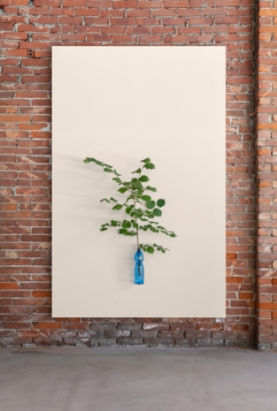 Henrik Håkansson, A Painting of a Tree (Corylus avellana), 2021 , Galleria Franco Noero