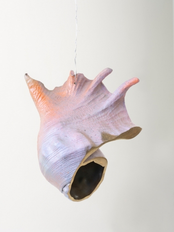 Benoît Maire, Suspension, 2019 , Galerie Nathalie Obadia
