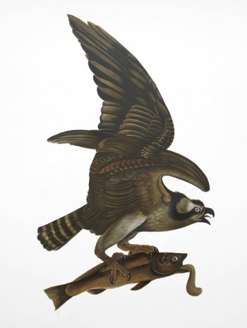 Dr. Lakra, Untitled (Osprey and Fish), 2012, Kate MacGarry