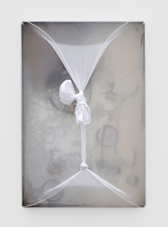 Mimosa Echard , Narcisse 6, 2021, Galerie Chantal Crousel