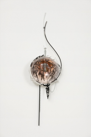 David Douard , Lick'ng a'n 0rchiD 1 -, 2021, Galerie Chantal Crousel