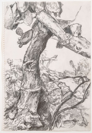 Paul Thek, Untitled (Tree), October 1970 , The Mayor Gallery