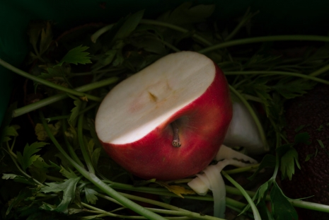 Morten Andenæs, Fallen apple; skin, core and tissue, 2021 , Galleri Riis