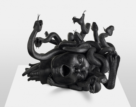Damien Hirst, The Severed Head of Medusa, 2008, White Cube