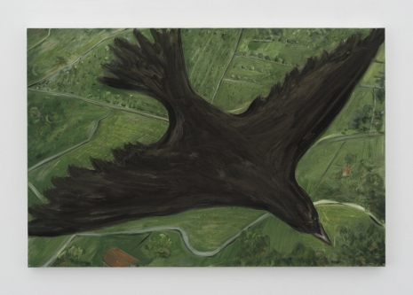 Tanya Merrill, Crow over Italian Landscape, 2021, 303 Gallery
