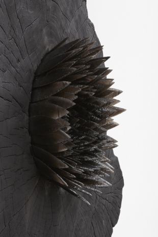 Jónsi, Hrafntinnublómstur (Obsidian bloom) 1, 2021 , Tanya Bonakdar Gallery