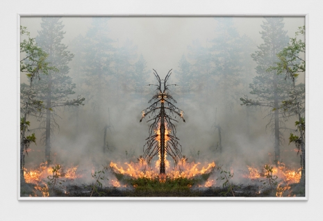 Julius von Bismarck, Fire with Fire (Test Apparatus #7), 2021 , Sies + Höke Galerie