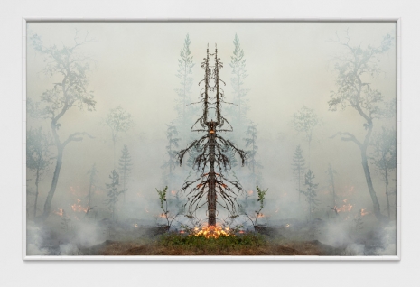 Julius von Bismarck, Fire with Fire (Test Apparatus #6), 2021 , Sies + Höke Galerie