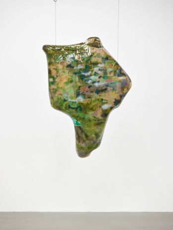 Ragen Moss, Territorialist, 2020 , Galerie Gisela Capitain