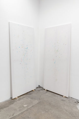 Davide Sgambaro , Parappapparaparapappappara (113C 3 HAG N10), 2021 , Galerie Alberta Pane