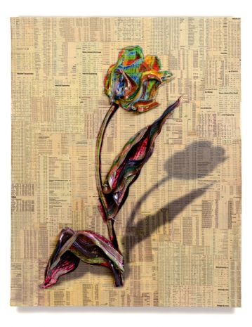 Gordon Cheung , Inverted Tulipbook 24, 2013 , Almine Rech