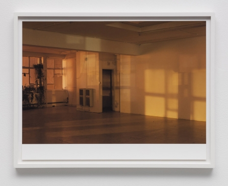 Wolfgang Tillmans, Filled with Light, a, 2011 , Regen Projects