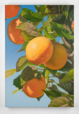 Mustafa Hulusi, Bitter Oranges 03, 2021 , Galerie Barbara Thumm