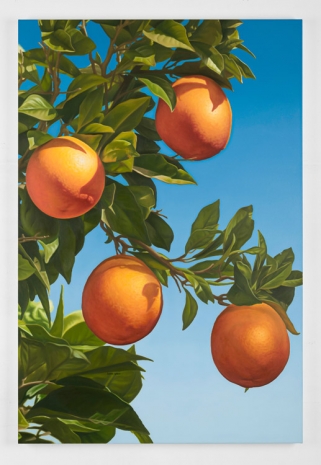 Mustafa Hulusi, Bitter Oranges 04, 2021 , Galerie Barbara Thumm