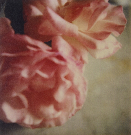 Cy Twombly, Roses, Gaeta, 2004, Gagosian
