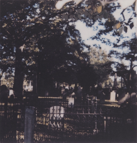 Cy Twombly, Stonewall Jackson Memorial Cemetery, Lexington, 2008, Gagosian