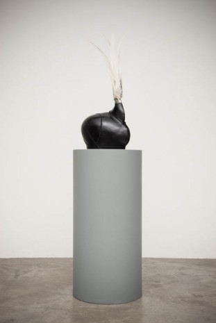 Siobhan Hapaska, for eyes that are full, 2012, Kerlin Gallery