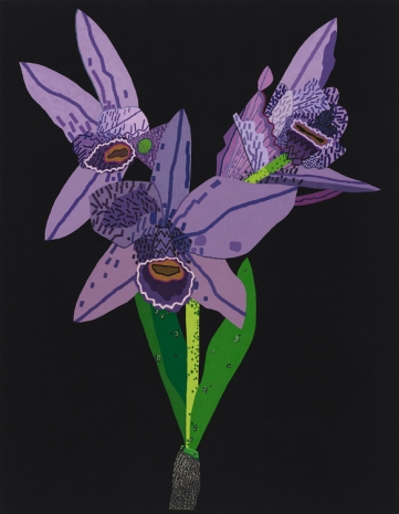 Jonas Wood, Purple Dog-Faced Orchid, 2021 , Gagosian