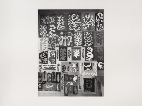 Dan Fischer, Matisse “Cut-Outs” Wall, 2020-2021 , Alison Jacques
