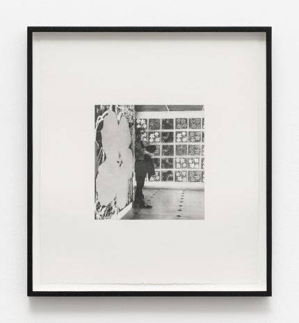Dan Fischer, Warhol “Flowers”, 2020, Alison Jacques