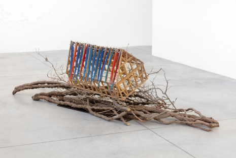 Lothar Baumgarten, [Arché] _ (Ark), 1969-2016 , Galleria Franco Noero