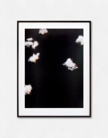Lothar Baumgarten, Firmament, 2014, Galleria Franco Noero