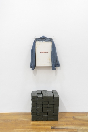 Matias Faldbakken, ADRENALIN JACKET, 2020-2021, Galerie Chantal Crousel