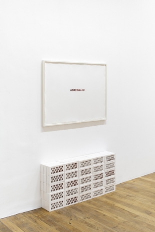 Matias Faldbakken, ADRENALIN, 2021, Galerie Chantal Crousel