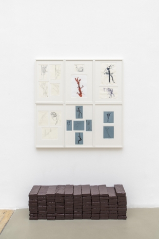 Matias Faldbakken, Trees, dead or dying, 2020-2021, Galerie Chantal Crousel