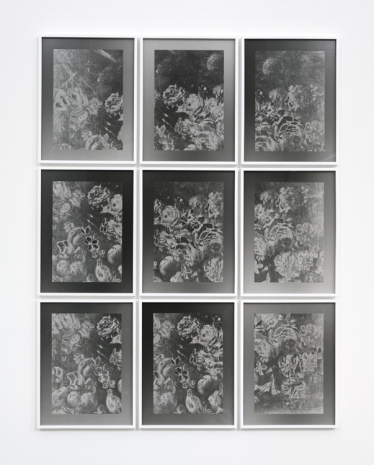Lisa Oppenheim , Stilleben (Version I) (1942/2021), 2021 , Zeno X Gallery