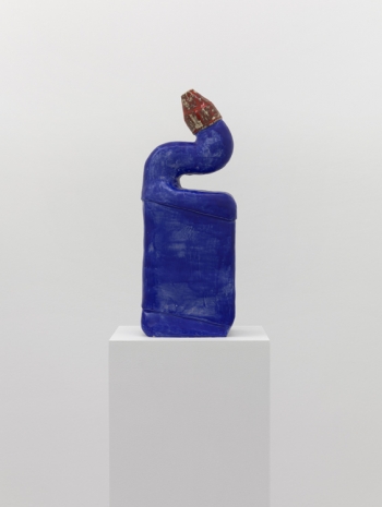 Guillaume Pilet, Toilet Duck, 2021 , Galerie Joy de Rouvre