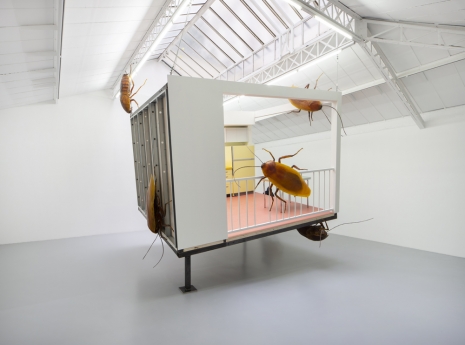Huang Yong Ping , American Kitchen and Chinese Cockroaches, 2019, kamel mennour