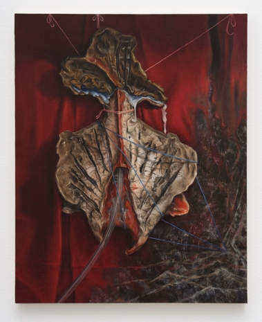 Anne Kristine Hvid Petersen , Omplante (eller ville genfødes i skyggespillet med dyreøjne), 2021, Galleri Nicolai Wallner