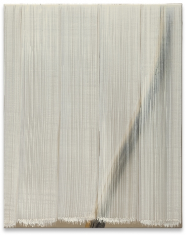 Hyun-Sook Song, 5 Brushstrokes over Tiger, 2009 , Sprüth Magers
