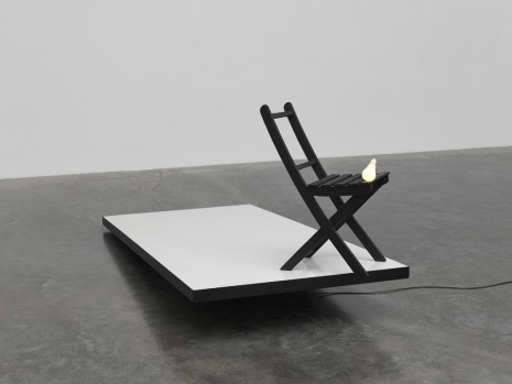 Wang Gongxin, Shadow of Light, 2020 , White Cube