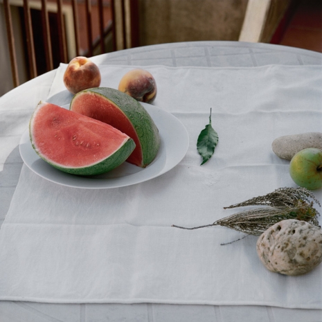 Patrick Faigenbaum, Nature morte avec pastèque, feuille de laurier, hélichryse et pierre à feu, 2019 , Galerie Nathalie Obadia