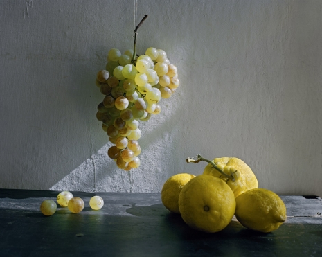 Patrick Faigenbaum, Composition autour d’une grappe de raisin, Santulussurgiu, 2019 , Galerie Nathalie Obadia
