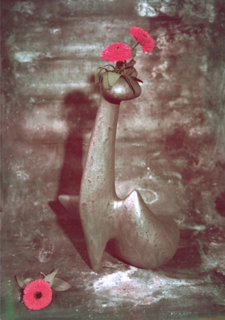 Agnès Varda, Valentine Schlegel, vase et fleurs rouges. Paris, Circa 1955 , Galerie Nathalie Obadia