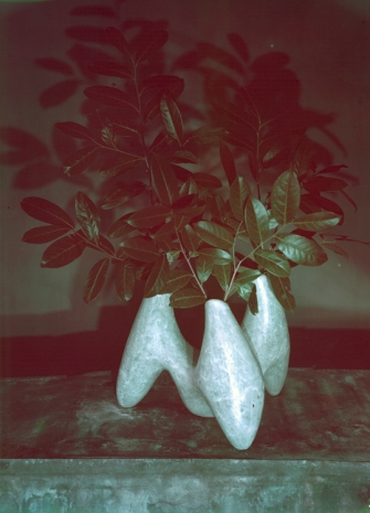 Agnès Varda, Nature morte. Vase à trois têtes de Valentine Schlegel. Paris, 1955 , Galerie Nathalie Obadia