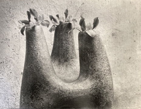Agnès Varda, Valentine Schlegel, vase à trois têtes et végétaux. Paris, 1955 , Galerie Nathalie Obadia