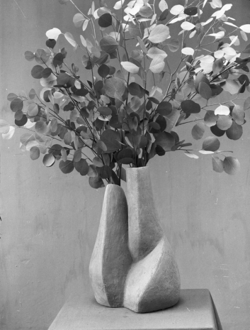 Agnès Varda, Eucalyptus dans un vase de Valentine Schlegel. Paris, circa 1955, Galerie Nathalie Obadia