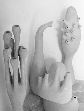 Agnès Varda, Ensemble de céramiques organiques (1950) de Vera et Pierre Székely et André Borderie. Marcoussis, 1956 , Galerie Nathalie Obadia
