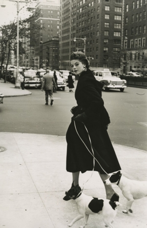 Frances McLaughlin-Gill, Model Walking Two Jack Russell Terriers, NYC, 1953 , Howard Greenberg Gallery