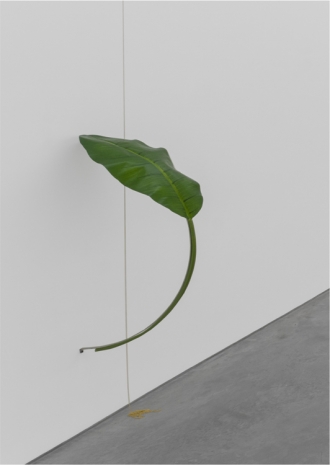 Tania Pérez Córdova, Banana, 2022, Art : Concept