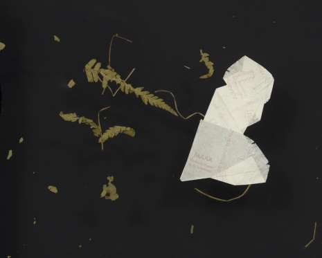 Tania Pérez Córdova, Empty days (Fragment of packing material, ink stain, candy wrapping, tape, found leaves with plague, shade of extended left arm, lettuce, thread. We didn’t need all those things we bought), 2022, Art : Concept