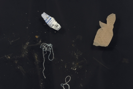 Tania Pérez Córdova, Empty days (Found dead bees, shade of 11 inches macbook air, red velvet lipstick, fragment of a plastic bag, thread, fragment of a tag, tape, paper found on wet pavement, fragment of a leaf, fragment of packing material, lettuce leaf, candy wrapping., 2022, Art : Concept