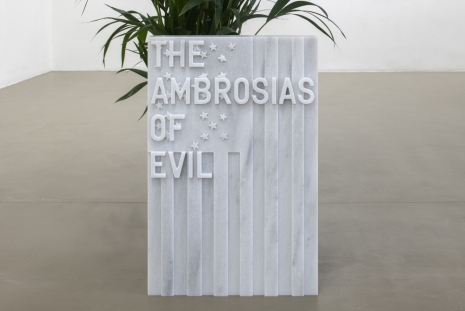 Rirkrit Tiravanija, untitled 2020 (the ambrosias of evil) (flag, 1971), 2020, Galerie Chantal Crousel
